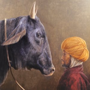 आदमी और बैल